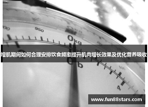 增肌期间如何合理安排饮食频率提升肌肉增长效果及优化营养吸收